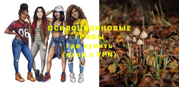 шишки Баксан