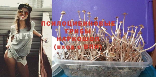 соль ск Балахна