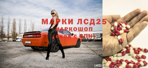 шишки Баксан