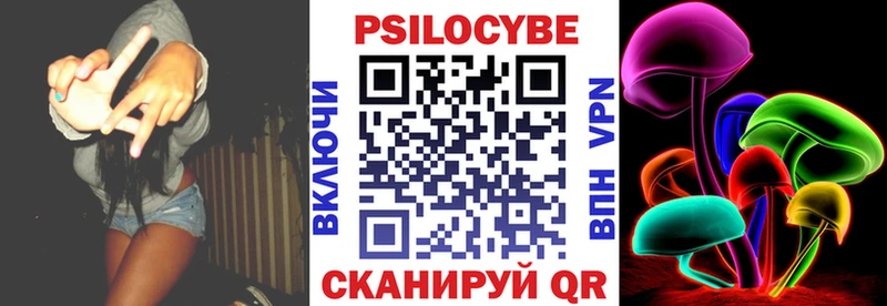 Галлюциногенные грибы Psilocybine cubensis  Хасавюрт 